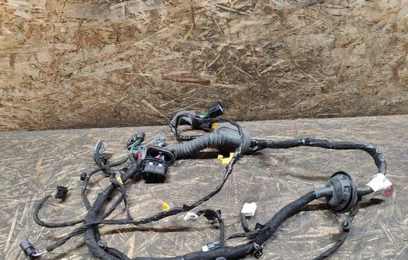 Ford Fusion II Front door wiring loom HG9T14631APE G281Z