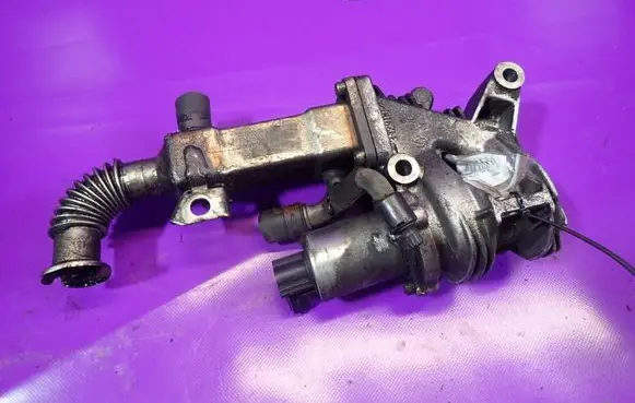 Renault Scenic II - Grand scenic II EGR valve 