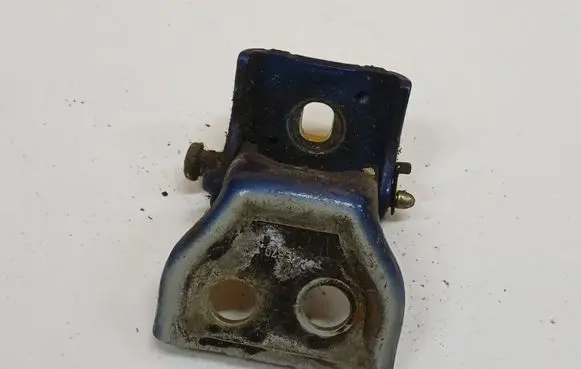 Peugeot 307 Rear door lower hinge 