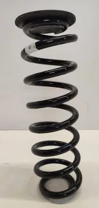 Rear coil spring
