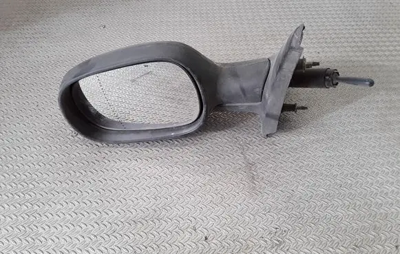 Renault Megane I Manual wing mirror E2014008