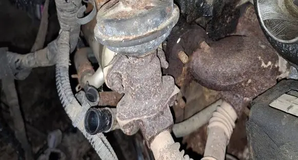 Chevrolet Captiva EGR valve 