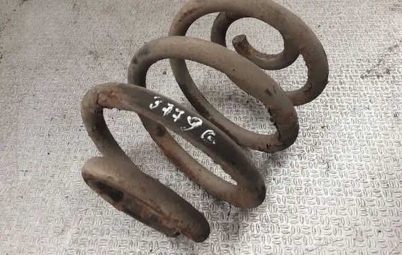 Rear coil spring