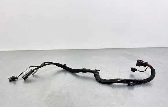 Audi A4 S4 B9 Other wiring loom 8W1971111