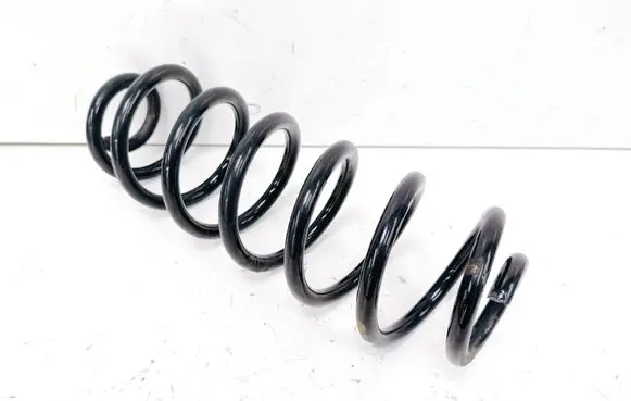 Rear coil spring