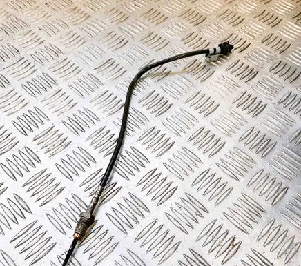 BMW X1 E84 Oil temperature sensor 7805606 03265600