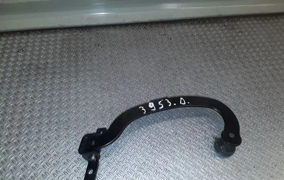 Peugeot 1007 Sliding door lower roller guide/hinge 