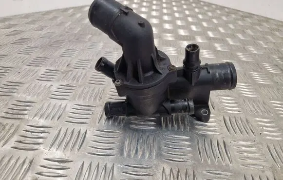 Thermostat/thermostat housing