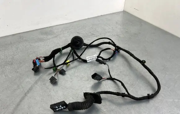 Front door wiring loom