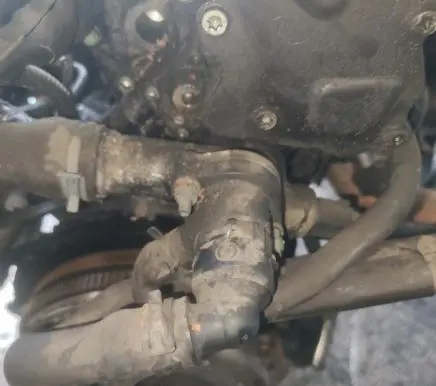 Ford Galaxy Engine coolant pipe/hose 038121133J