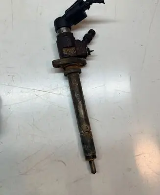 Citroen C5 Fuel injector 9660334880
