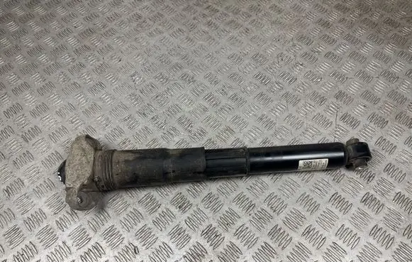 Volkswagen ID.4 Rear shock absorber/damper 1EA512013AS