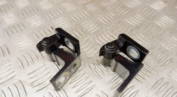 Volkswagen Tiguan Front door hinge set 5N0831402