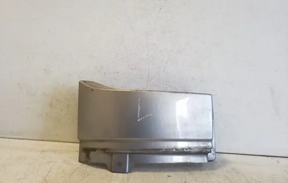 Rear/tail light trim molding