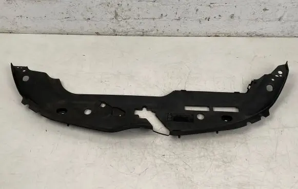 Engine bonnet/hood lock trim molding