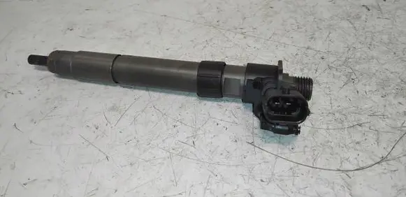 Land Rover Range Rover Evoque L538 Fuel injector 023002551 0986435423 FBD0E09038