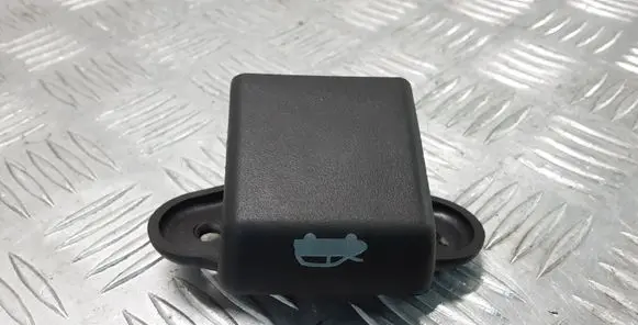 Chrysler Grand Voyager V Engine bonnet (hood) release handle