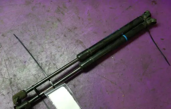 Tailgate strut