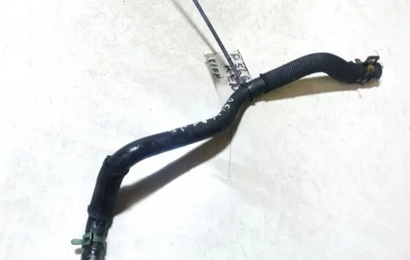 Renault Kangoo I Engine coolant pipe/hose