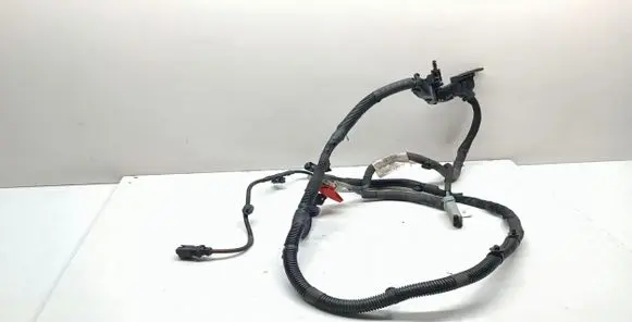 Engine installation wiring loom