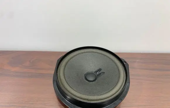 Alfa Romeo Stelvio Front door speaker A01910401
