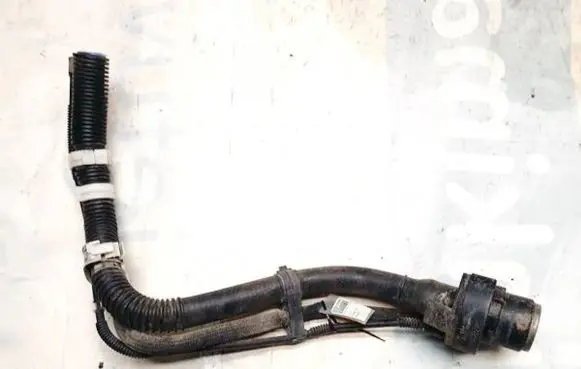 Fuel tank filler neck pipe
