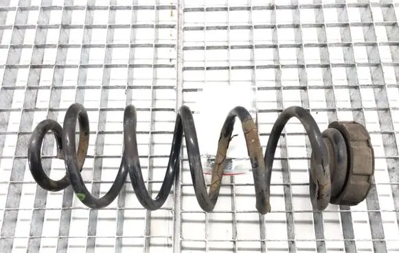 Rear coil spring