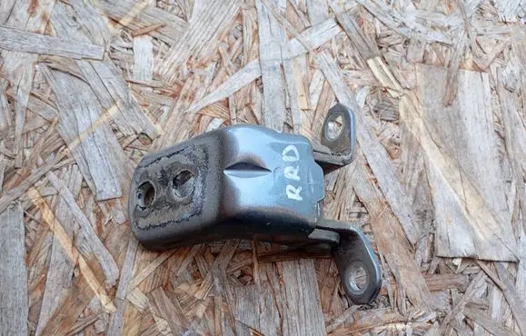 Renault Koleos I Rear door lower hinge