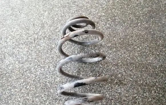 Volkswagen PASSAT B5 Rear coil spring