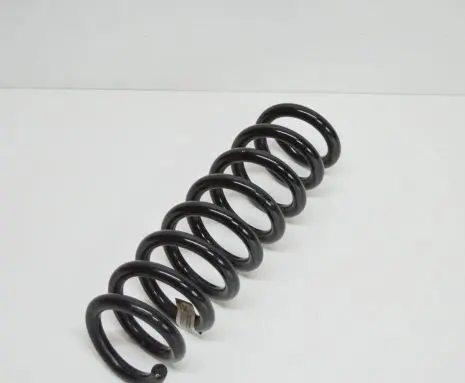 BMW 1 F20 F21 Rear coil spring AL04GC
