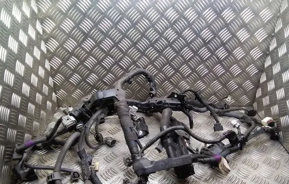 Lexus CT 200H Engine installation wiring loom 8212176042