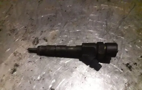 Renault Scenic II - Grand scenic II Fuel injector 0445110110B