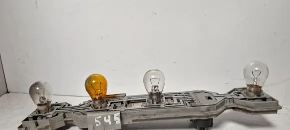 Ford Transit - Tourneo Connect Tail light bulb cover holder 2T1413N412AB