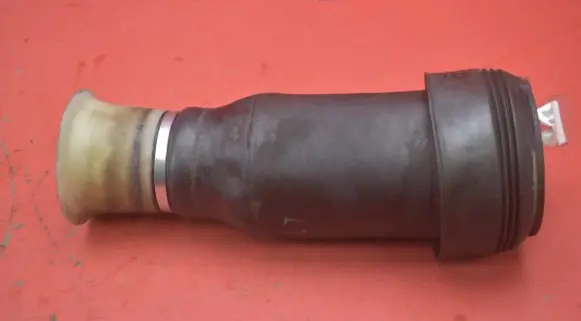 BMW X5 E70 Rear shock absorber/damper R309512606