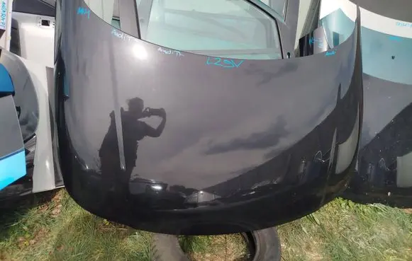 Engine bonnet/hood