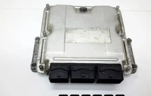 Renault Scenic RX Engine control unit/module