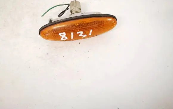 Front fender indicator light