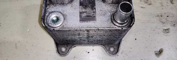 Mercedes-Benz ML W163 Engine oil radiator 6131880101