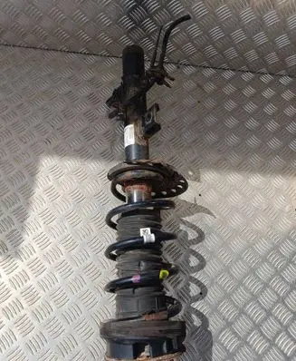 Land Rover Evoque I Rear shock absorber with coil spring GJ3218080AA
