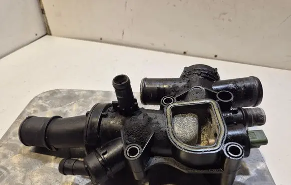 Thermostat/thermostat housing