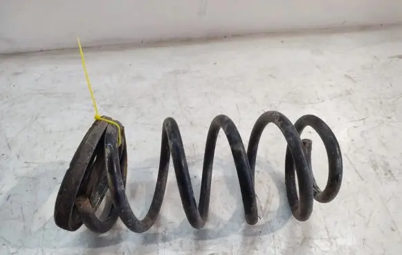 Hyundai Santa Fe Rear coil spring