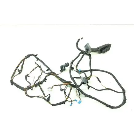 BMW 5 F10 F11 Front door wiring loom 9240851 EGB557 25112010