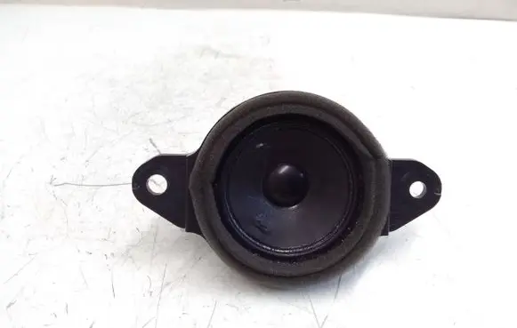Panel speaker
