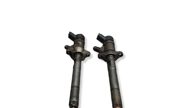 Citroen Berlingo Fuel injector S27649820 0445110239