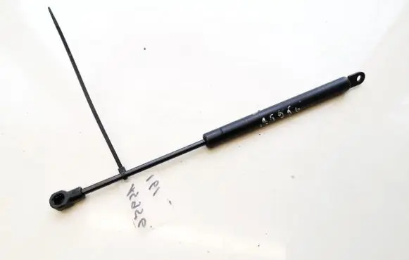 Citroen C3 Pluriel Front bonnet/hood damper/strut