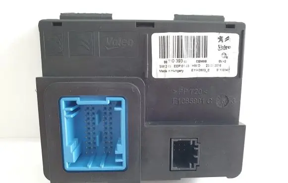 Peugeot 308 Other control units/modules 9811039380