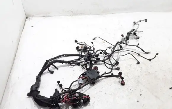 Engine installation wiring loom