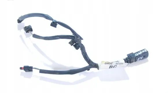 Ford Ecosport Fuel injector wires CM5G9F666