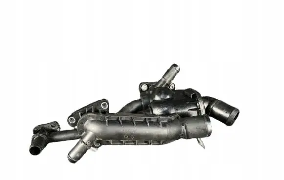 Thermostat/thermostat housing