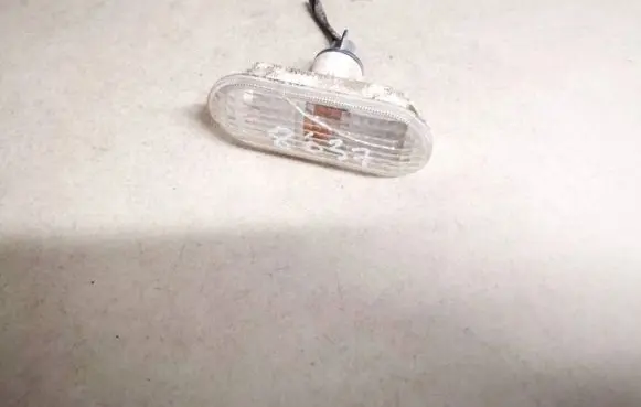 Front fender indicator light
